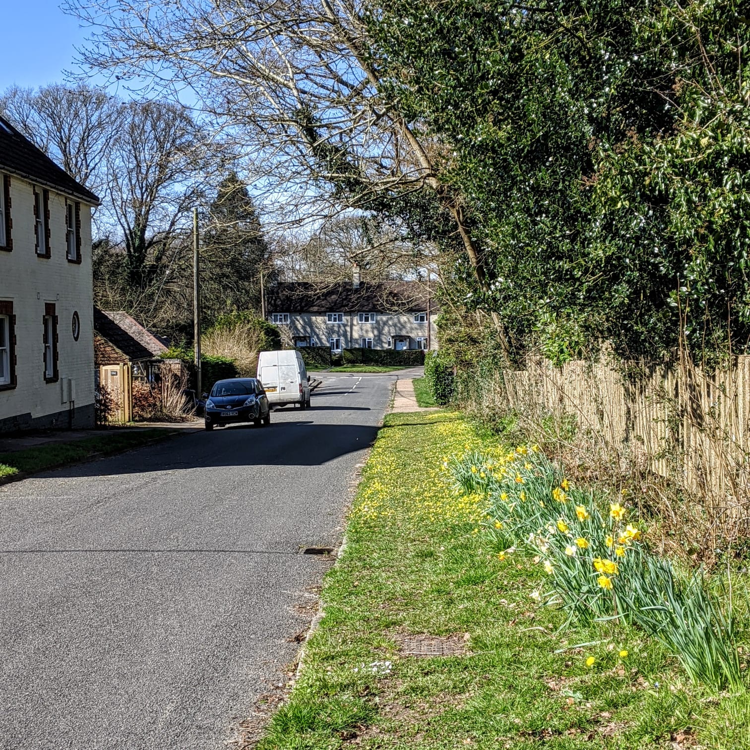DECEPTION woodlands - the road leading to Eve's
